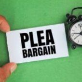 The Role of Plea Bargains in Criminal Cases