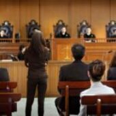Explaining Criminal Lawyers: Roles, Importance & FAQs